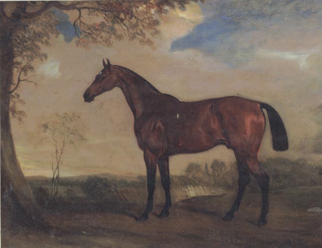 Portrait of a Hunter Mare,The Property of Robert shafto of whitworth park,durham